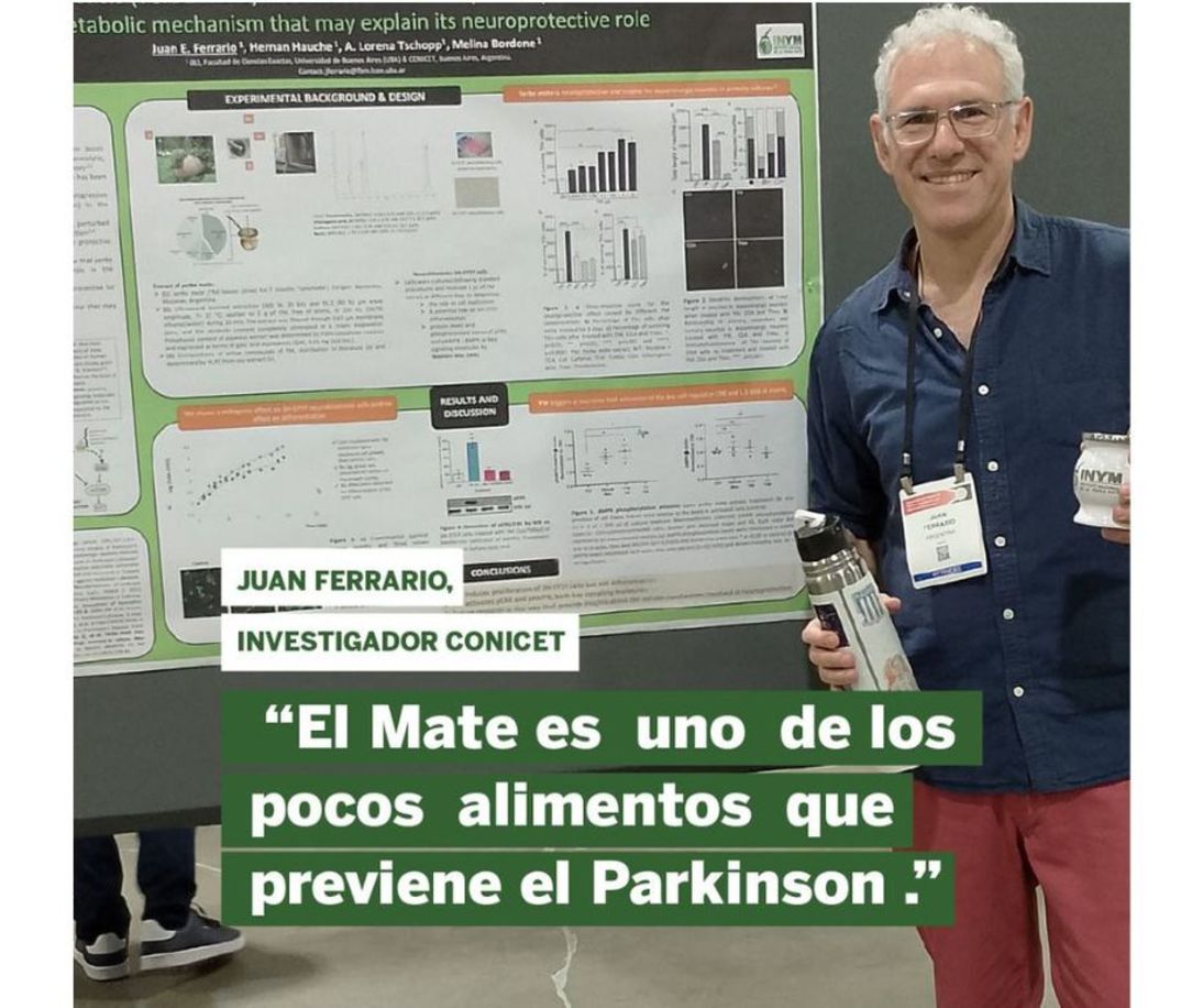 El Mate previene el Parkinson, una enfermedad en aumento en el mundo