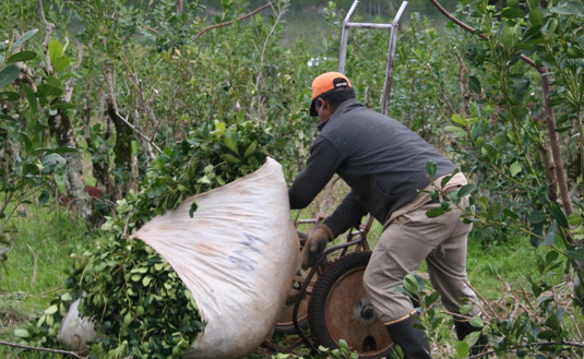 Imagen de Con el Tres por Uno, el agricultor produce mejor