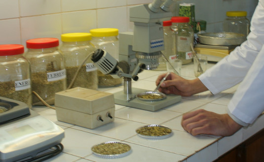 Imagen de Estudio científico evidencia los beneficios de yerba mate fortificada con magnesio Imagen de Estudio científico evidencia los beneficios de yerba mate fortificada con magnesio