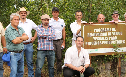 Imagen de Funcionario del Ministerio de Agroindustria recorrió yerbales del Programa 3x1