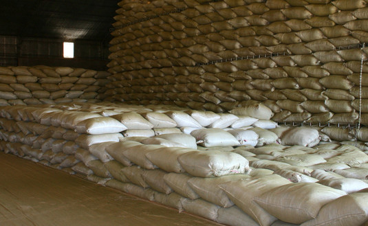 Imagen de Inspecciones del INYM ratifican el stock de yerba mate canchada Imagen de Inspecciones del INYM ratifican el stock de yerba mate canchada
