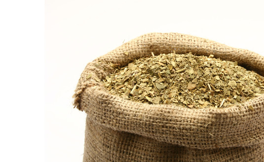 Imagen de Buscamos cambiar el método para determinar el palo en yerba elaborada Imagen de Buscamos cambiar el método para determinar el palo en yerba elaborada