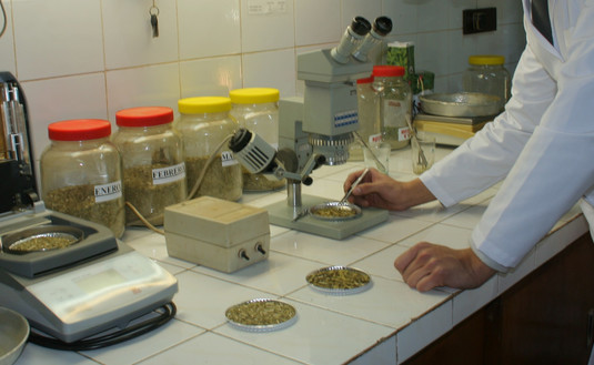 Imagen de Creamos la primer base de datos de yerba mate y salud del mundo Imagen de Creamos la primer base de datos de yerba mate y salud del mundo