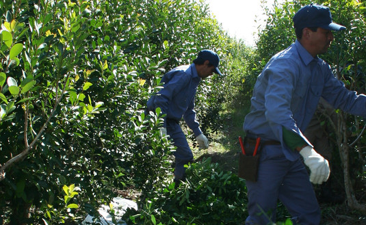 Imagen de Registro de productores y charla sobre suelo y planta