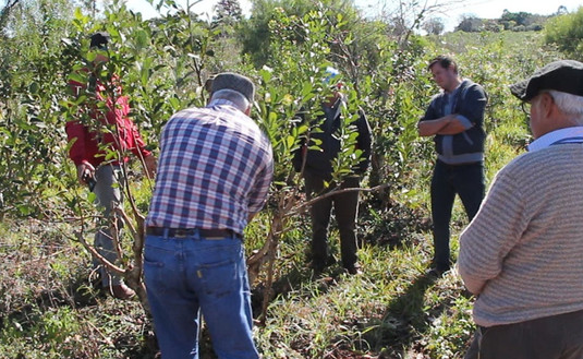 Imagen de Capacitación a productores Imagen de Capacitación a productores
