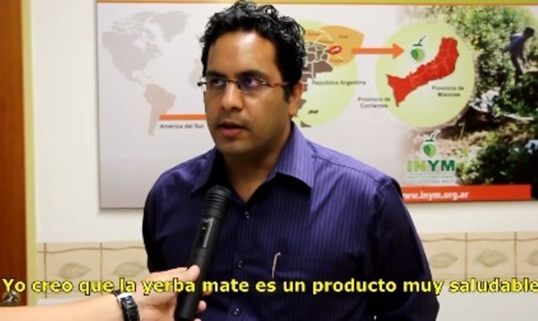 Imagen de Presentaron estudio de mercado para yerba mate en la India