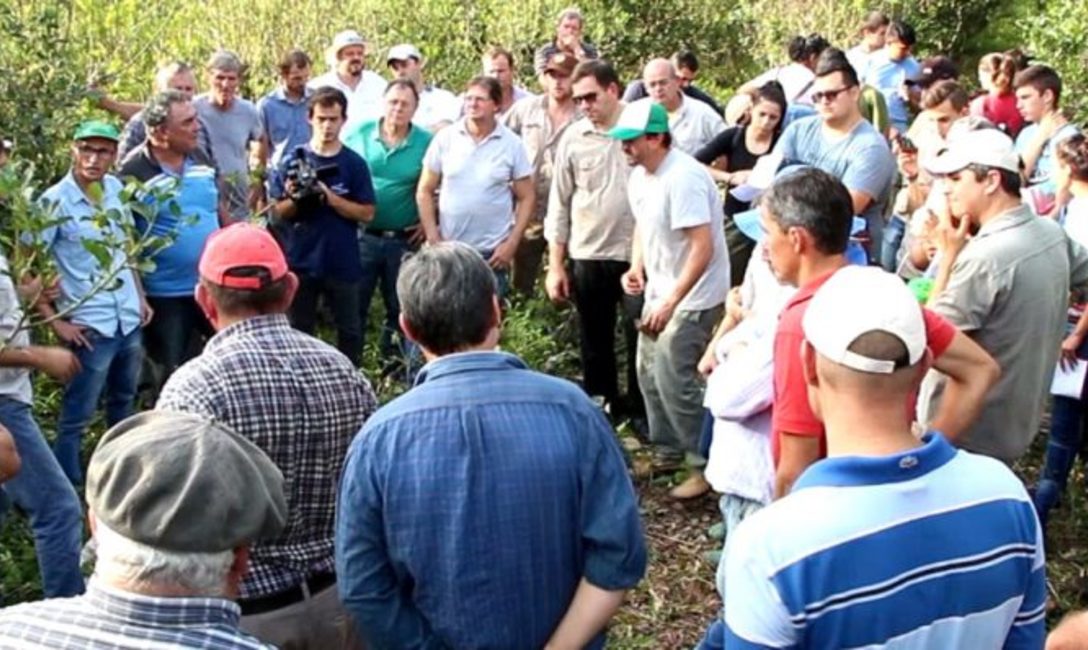 Imagen de M&aacute;s capacitaci&oacute;n a t&eacute;cnicos de  para mejorar la productividad en yerbales