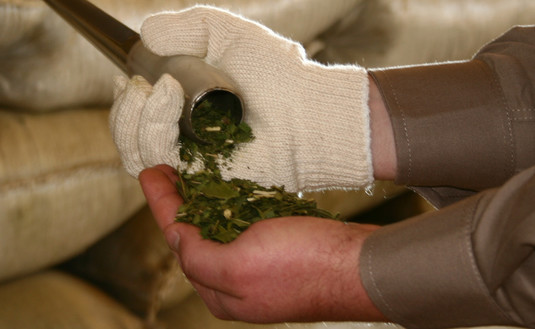 Imagen de Yerba mate, el alimento que sigue sumando calidad y beneficios a la salud Imagen de Yerba mate, el alimento que sigue sumando calidad y beneficios a la salud