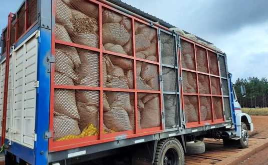 Imagen de Esta semana inutilizamos otros 60 mil kilos de palos de yerba mate Imagen de Esta semana inutilizamos otros 60 mil kilos de palos de yerba mate