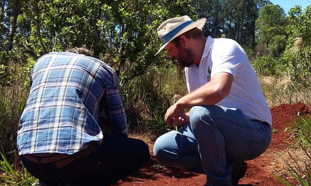 Matías Bazila, técnico del INYM, enseña que las malezas pueden ayudar en la recuperación del suelo