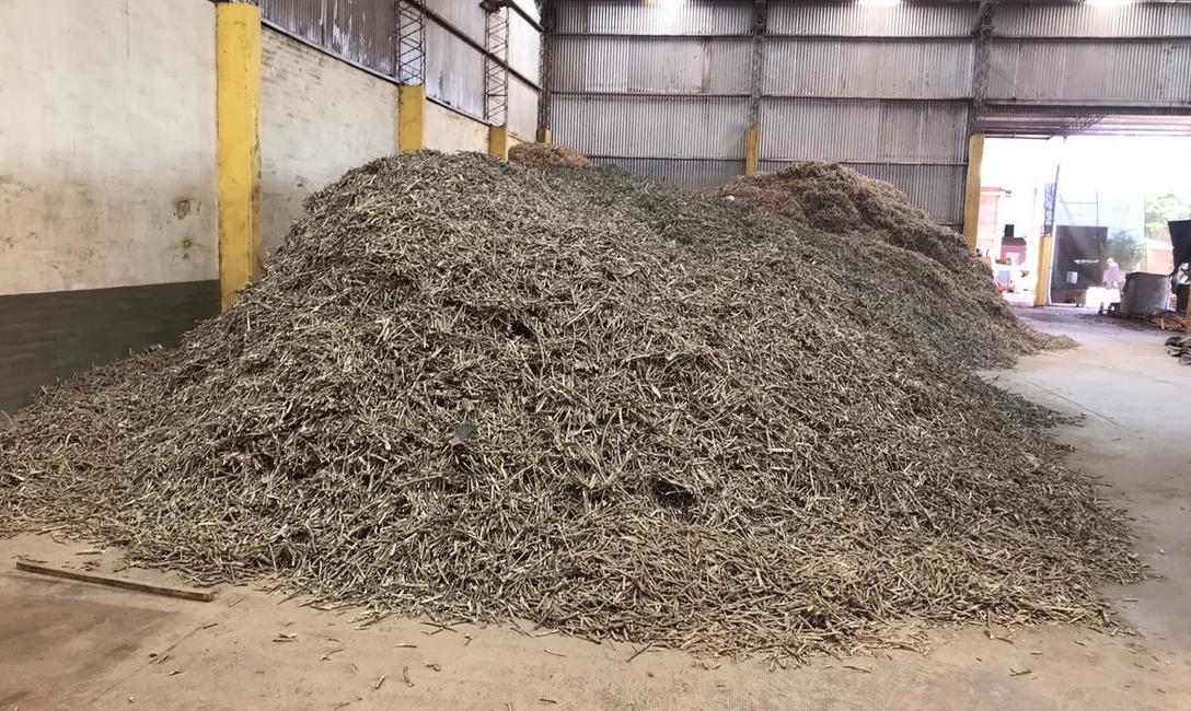 Imagen de Intervenimos 25 mil kilos de palitos de yerba mate en Ap&oacute;stoles