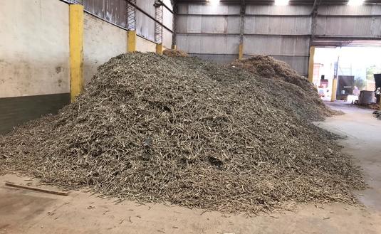 Imagen de Intervenimos 25 mil kilos de palitos de yerba mate en Apóstoles