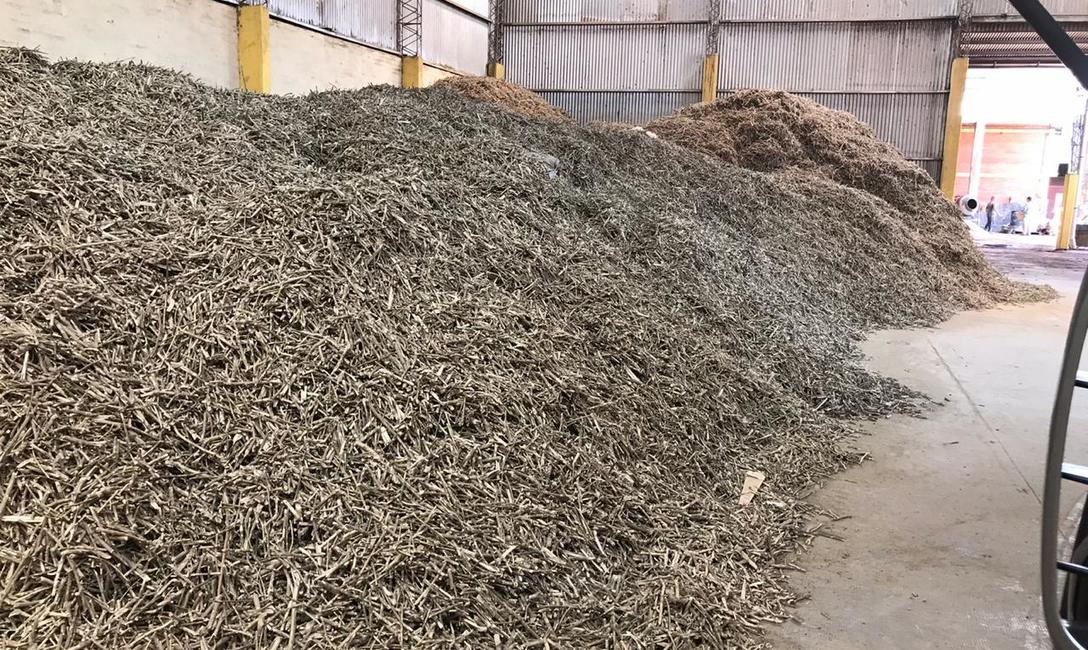 Imagen de Intervenimos 25 mil kilos de palitos de yerba mate en Ap&oacute;stoles