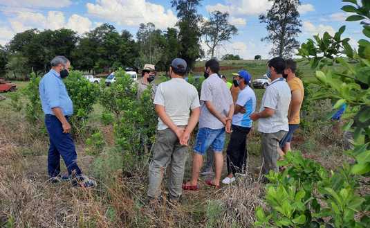 Imagen de Comenzamos las capacitaciones a cosecheros de Corrientes