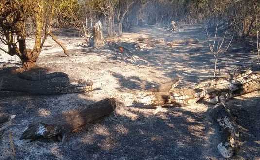 Imagen de Se reitera: hay que evitar el fuego y la cosecha ante la ausencia de lluvias