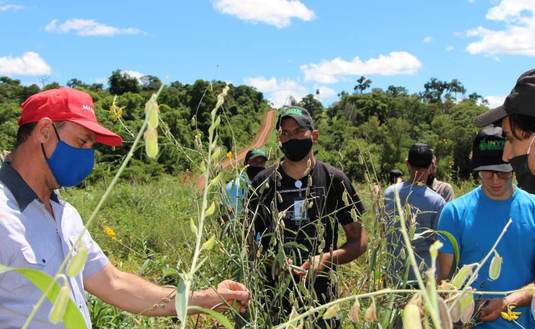 Productores, el director Jonás Petterson y técnicos del INYM en la chacra de Juan Jones, donde el suelo se recupera con cubiertas verdes.