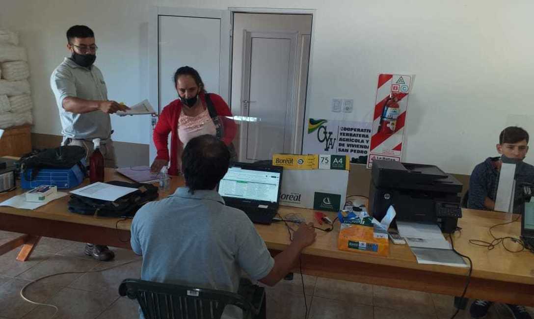 Imagen de Hasta el viernes 19 de febrero, estamos con el Registro de Productores y Yerbales en San Pedro