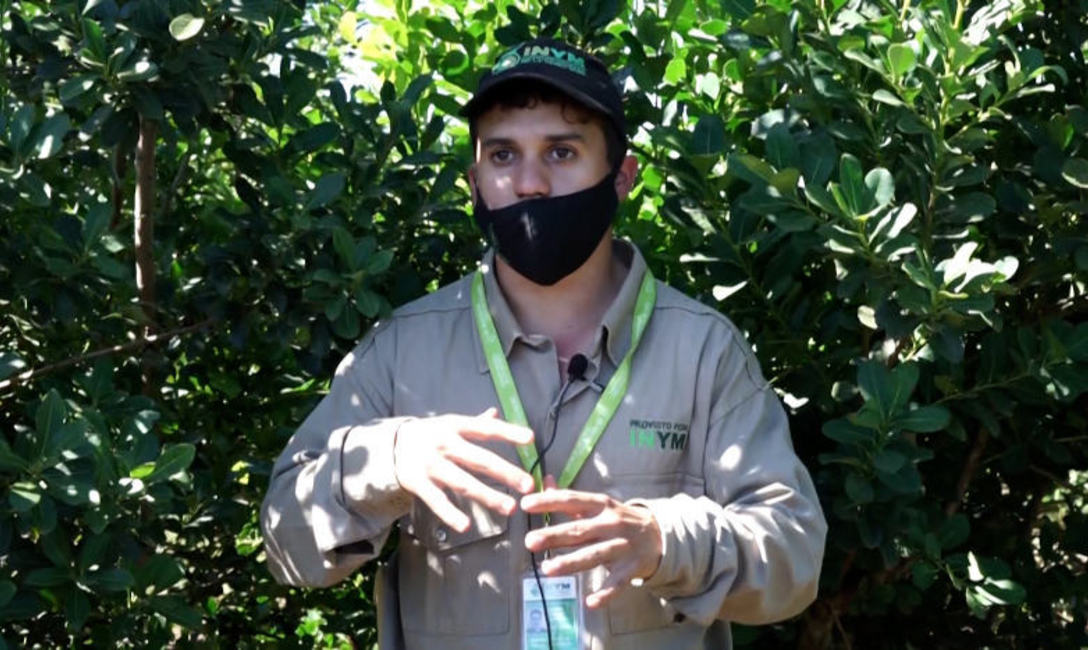 El ingeniero agrónomo Damián Rivero, del Servicio de Extensión Yerbatero del INYM.