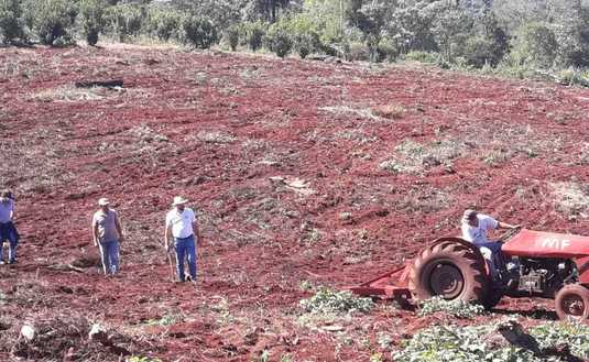 Imagen de Técnicas para retener el agua en el yerbal de Panasowich, en Colonia Alicia