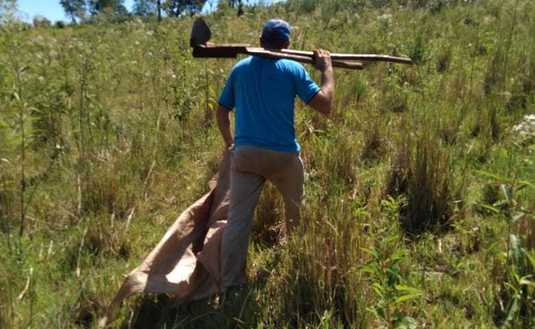Imagen de En San Pedro, el productor Kugle apuesta a la yerba con técnicas conservacionistas