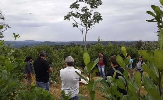 El Servicio de Extensión Yerbatero del INYM tiene como objetivo brindar asistencia integral a los productores,