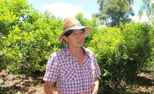 Nilda Beatriz Zetterlund es propietaria de una chacra agroecológica.
