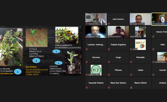 Imagen de Comenzó el Curso Taller Propagación por Minicepas y Miniestacas de Yerba Mate