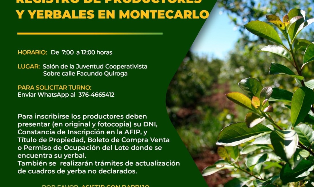 Imagen de En julio, registro de productores y yerbales para Montecarlo, Alba Posse y Santa Rita