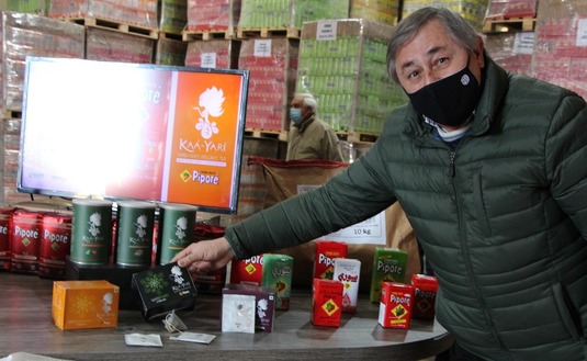 Imagen de Es el comienzo de un venturoso futuro para la yerba Imagen de Es el comienzo de un venturoso futuro para la yerba