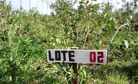 Los carteles permiten registrar los rindes y el trabajo realizado en cada lote