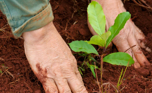 Saludamos en su día a los agricultores de la tierra colorada, quienes con trabajo y pasión, hacen que el mate llegue a cada hogar argentino.