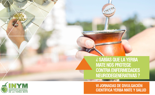 Imagen de Científicos confirman que tomar mate disminuye el riesgo de contraer Parkinson Imagen de Científicos confirman que tomar mate disminuye el riesgo de contraer Parkinson