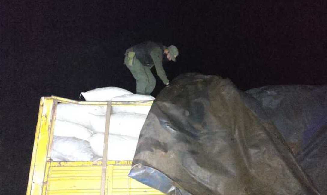 Imagen de Controles: el s&aacute;bado se decomisaron m&aacute;s de 22.000 kilos de palos de yerba mate en San Pedro
