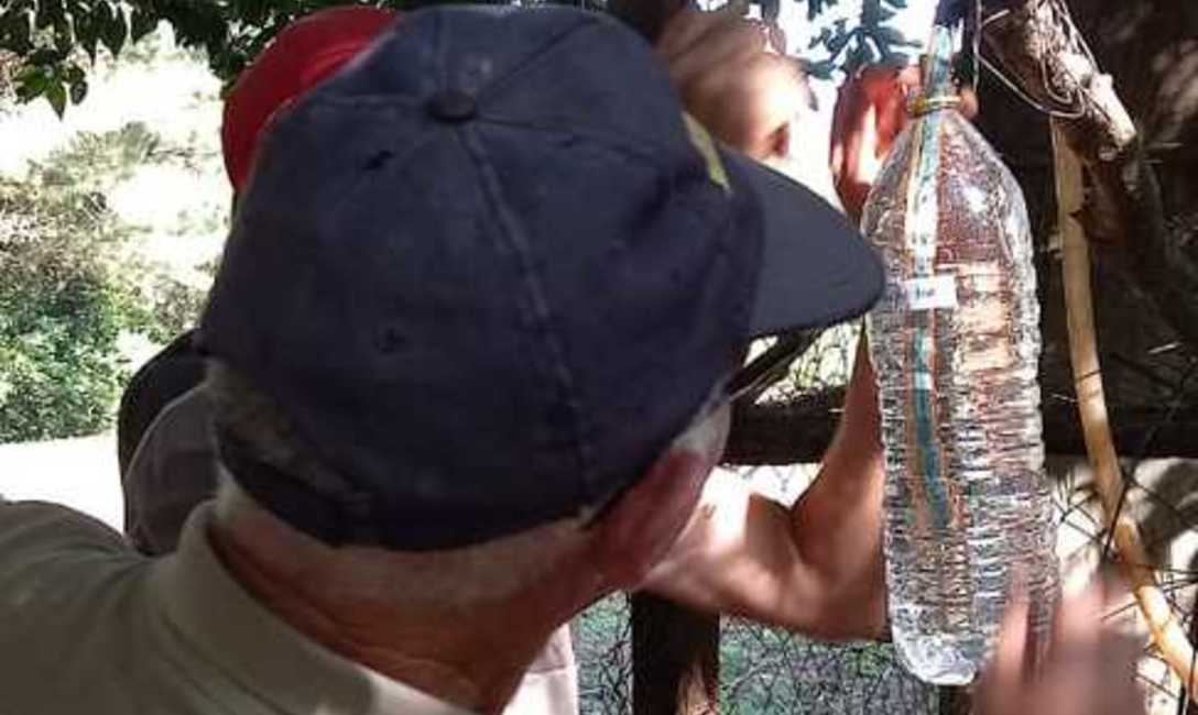 Imagen de Productores de Montecarlo y Guaraypo aprendieron c&oacute;mo preparar fertilizante org&aacute;nico para la yerba