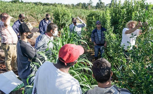 Imagen de El Servicio de Extensión Yerbatero cumplió un año de trabajo junto a los pequeños productores