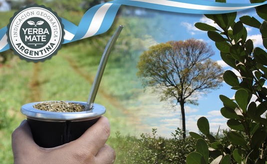 Imagen de La IG Yerba Mate Argentina destacada por la Organización Mundial de la Propiedad Intelectual