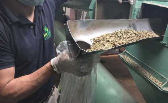 Imagen de Durante enero se rezarandearon más de 200 mil kilos de yerba mate canchada nacional e importada