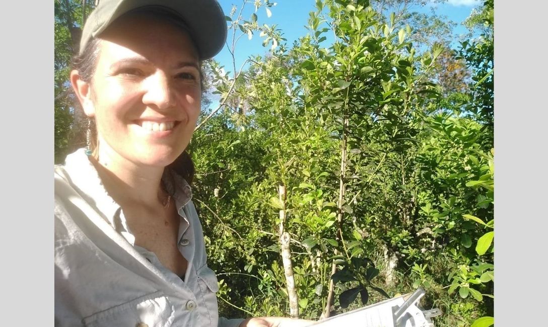 Yerba mate y otros árboles, juntos. Mariana Villagra, investigadora del Conicet, nos habla de “agricultura inteligente”.