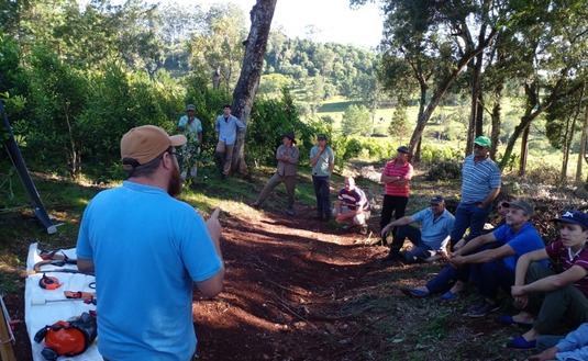 Imagen de Jornada de cosecha de rama madura con productores de Fracrán