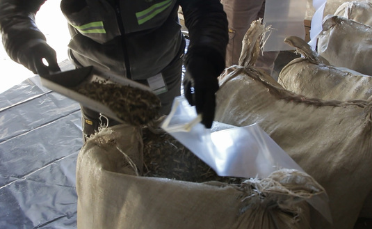 Imagen de El INYM intervino lotes de yerba canchada con exceso de palos Imagen de El INYM intervino lotes de yerba canchada con exceso de palos