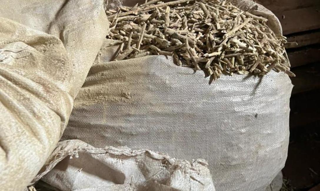 Imagen de El INYM decomis&oacute; 50 mil kilos de palos y polvo de yerba ocultos en un secadero abandonado