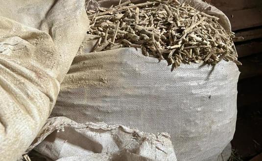 Imagen de El INYM decomisó 50 mil kilos de palos y polvo de yerba ocultos en un secadero abandonado