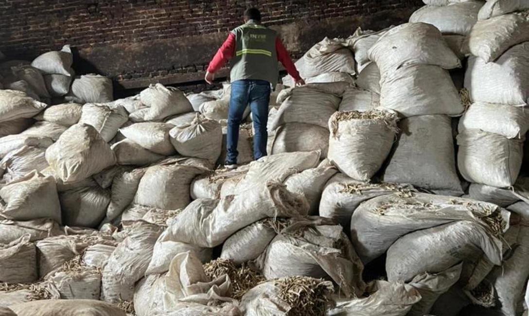 Imagen de El INYM decomis&oacute; 50 mil kilos de palos y polvo de yerba ocultos en un secadero abandonado