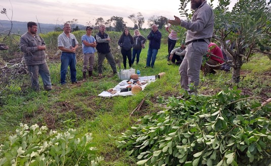 Imagen de Capacitación en manejo de planta de yerba mate en Polvorín