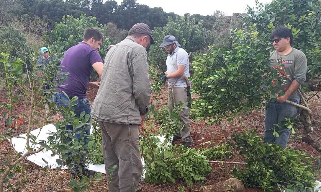 Imagen de Jornada sobre cosecha, rebaje y poda de formaci&oacute;n con productores de Montecarlo