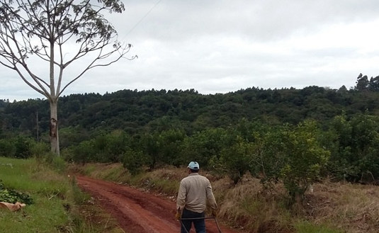 Imagen de Más de 3 mil herramientas a productores y secaderos para mejorar la productividad