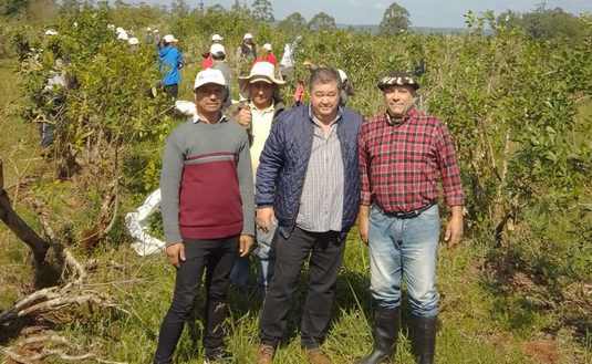 Imagen de Capacitación y entrega de herramientas a tareferos en Colonia Unión Imagen de Capacitación y entrega de herramientas a tareferos en Colonia Unión