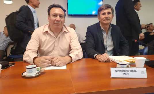 Ricardo Maciel y Juan José Szychowski en la reunión de la Comisión de Economías Regionales de la Cámara Baja