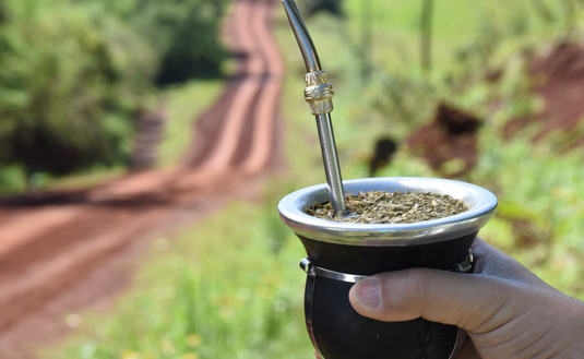 Imagen de Día del Mate argentino, la bebida preferida de toda una Nación Imagen de Día del Mate argentino, la bebida preferida de toda una Nación