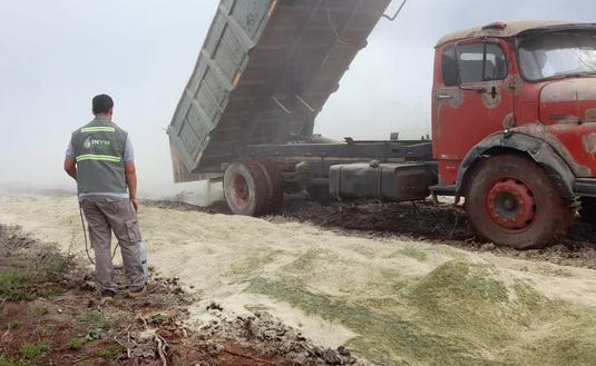 Imagen de El INYM intervino e inutilizó 26 toneladas de palitos y palo molido de yerba mate